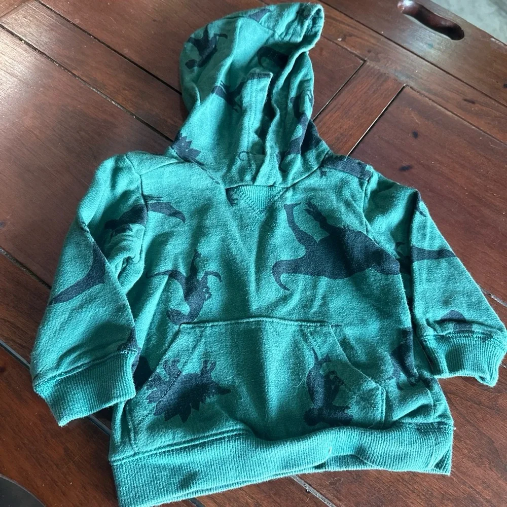 Dinosaur hoodie